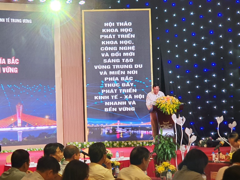 Không có ảnh