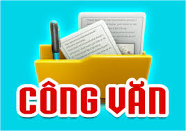 Không có ảnh