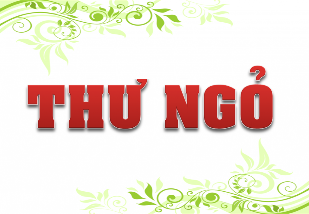Không có ảnh