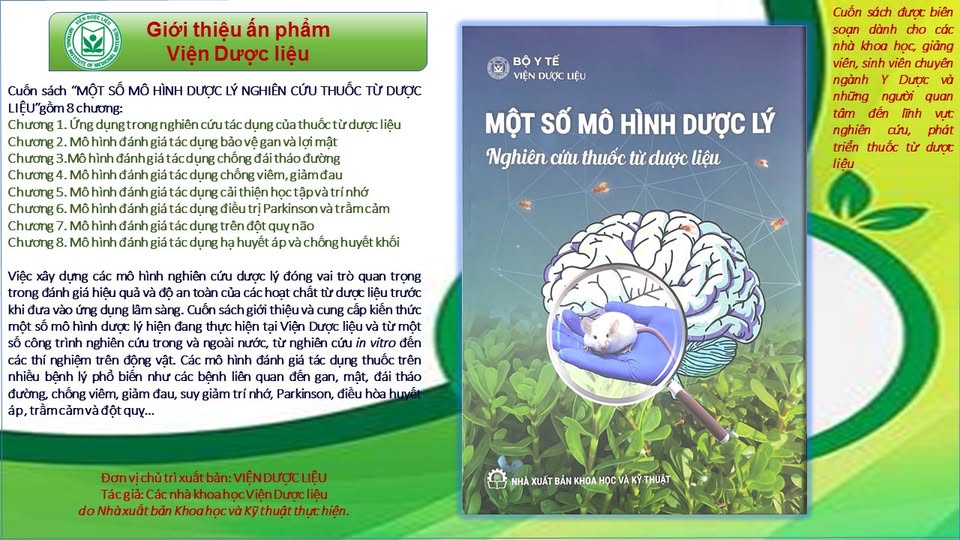 Không có ảnh