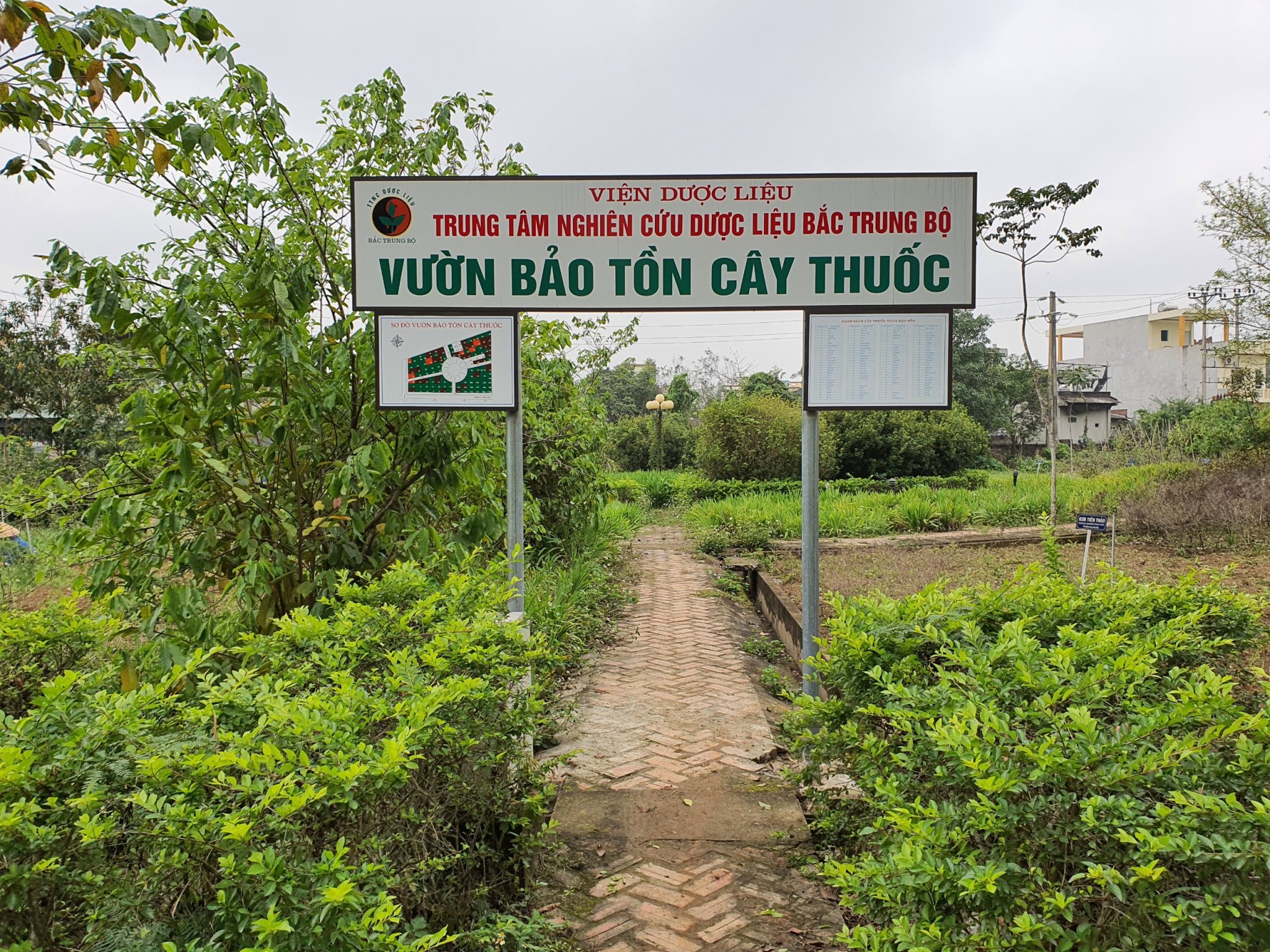 Không có ảnh