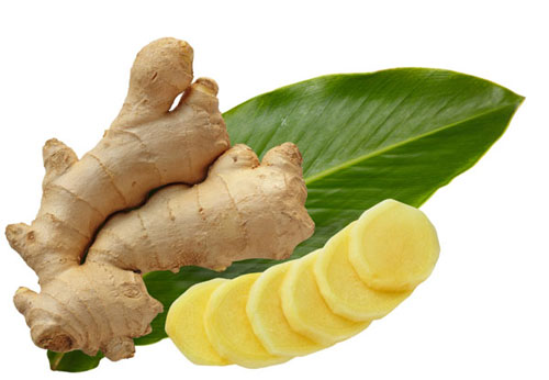 Không có ảnh
