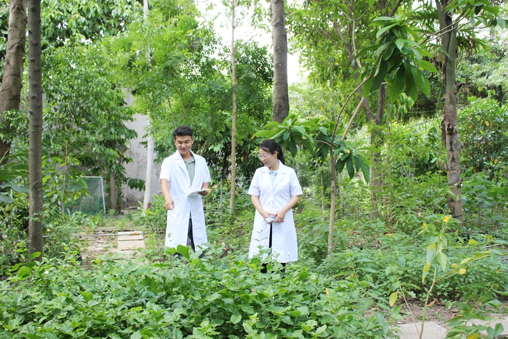Không có ảnh