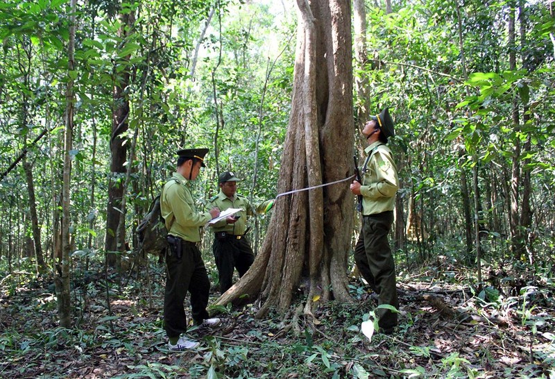 Không có ảnh