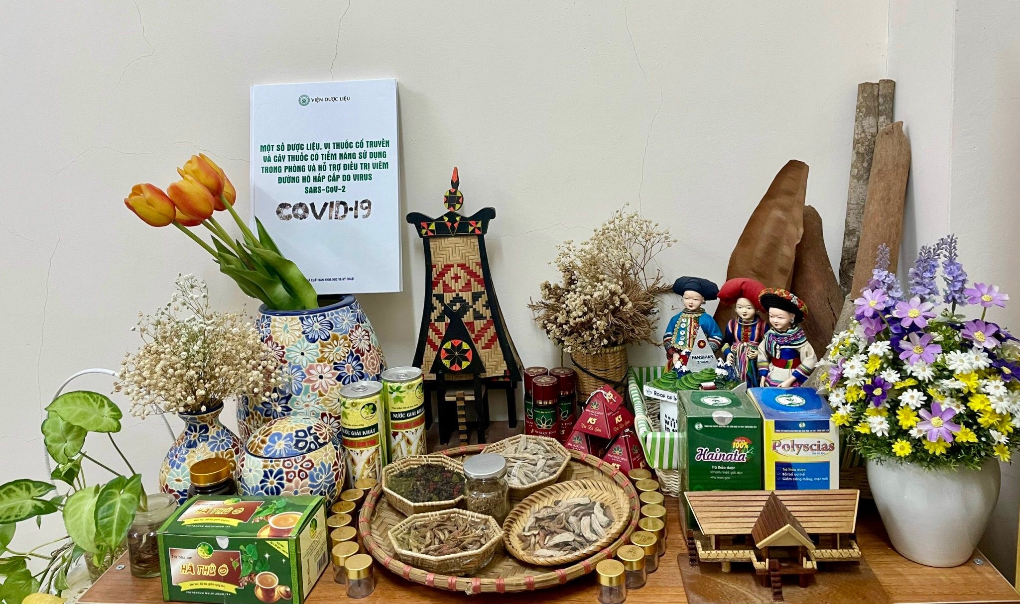 Không có ảnh