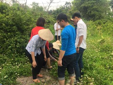 Không có ảnh