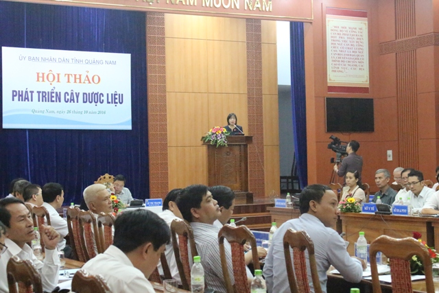 Không có ảnh