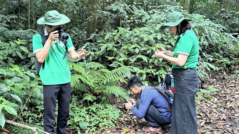 Không có ảnh