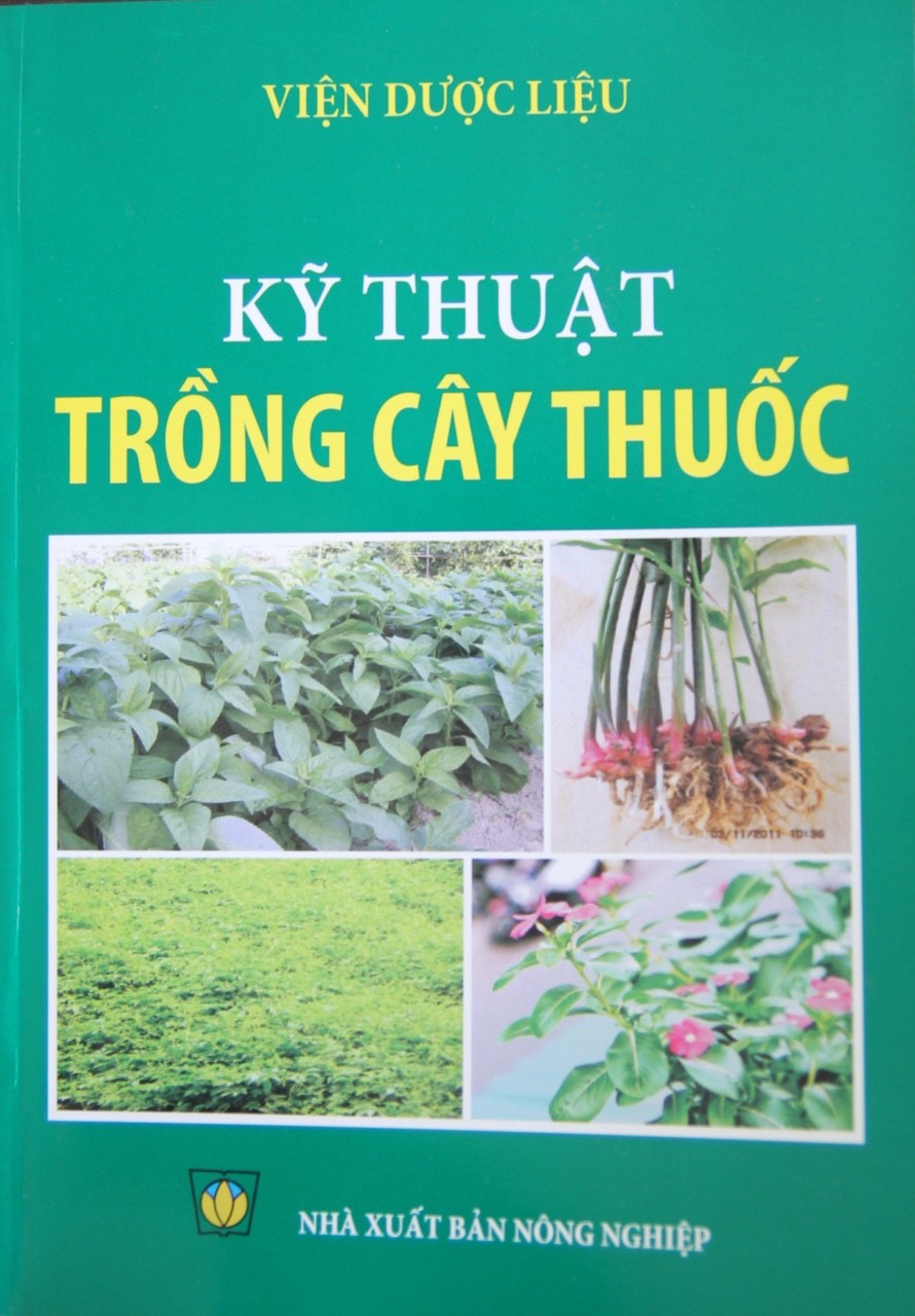 Không có ảnh