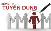 Không có ảnh
