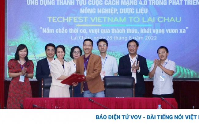 Không có ảnh