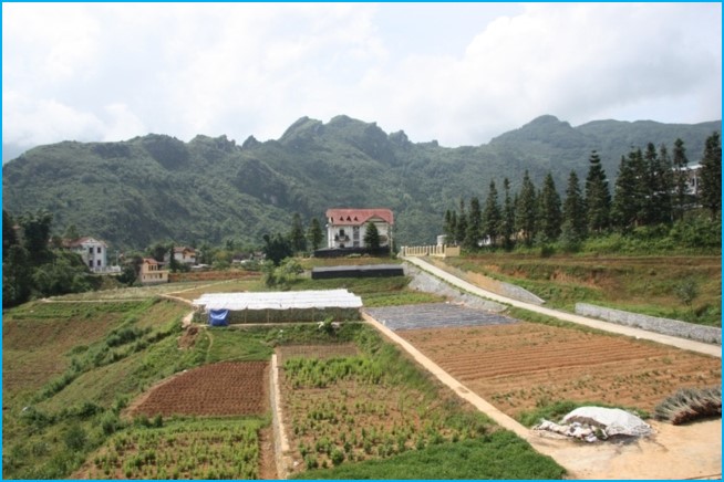 Không có ảnh