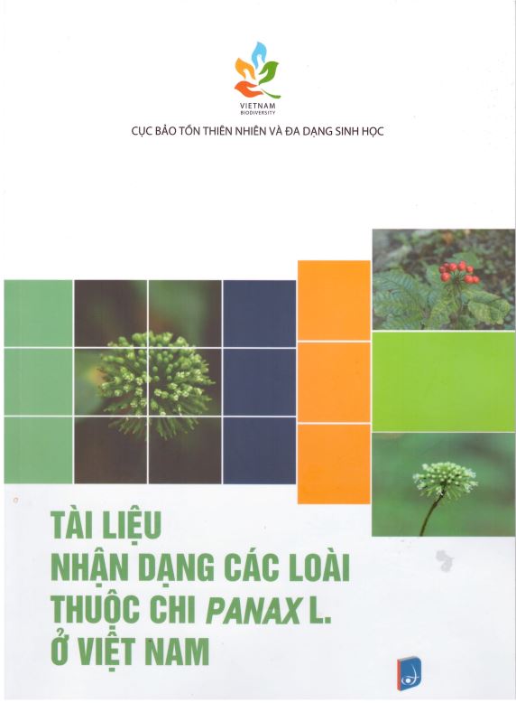 Không có ảnh