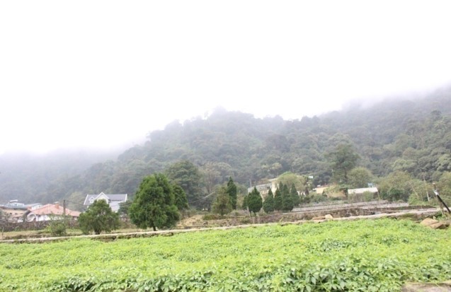 Không có ảnh