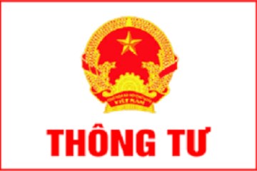 Không có ảnh