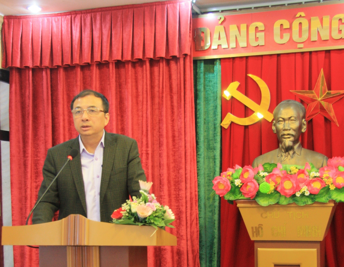Không có ảnh