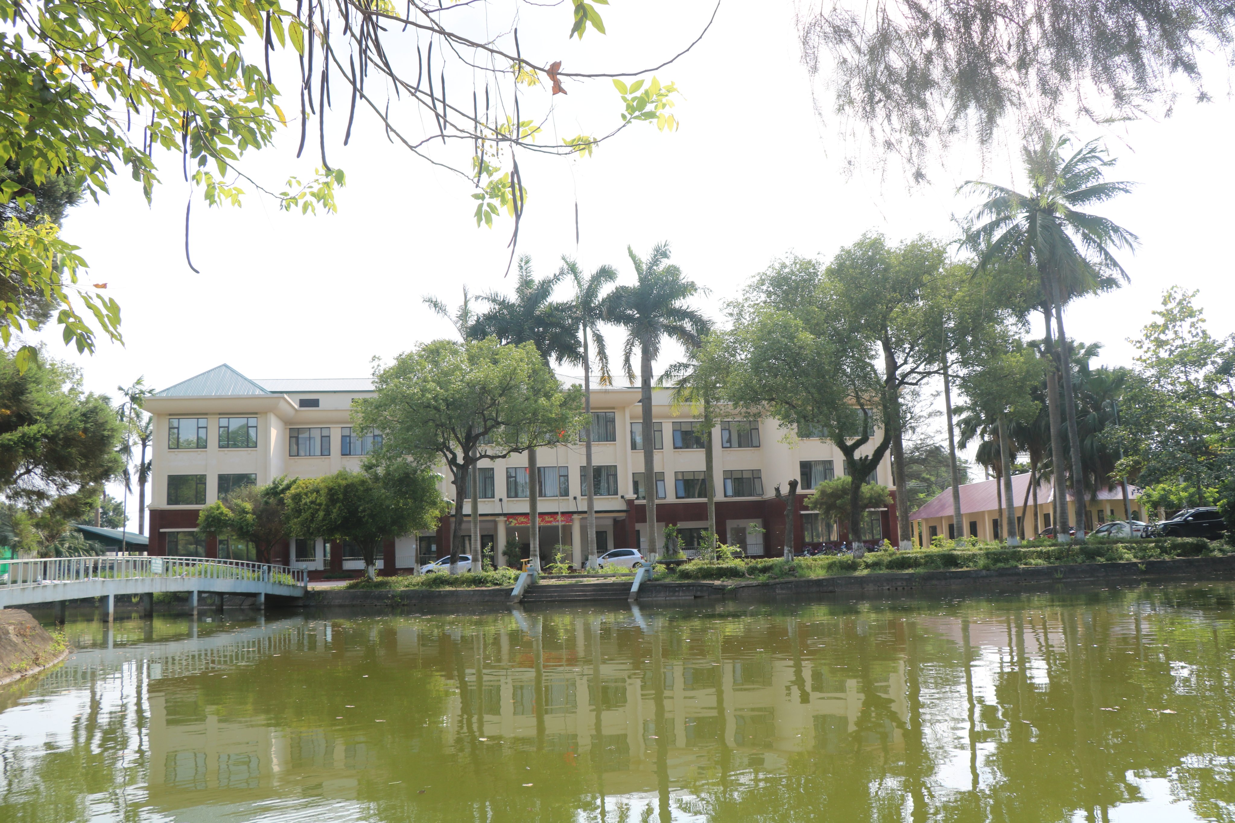Không có ảnh