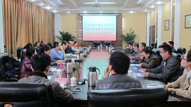 Không có ảnh