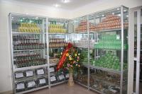 Không có ảnh