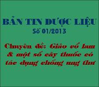 Không có ảnh