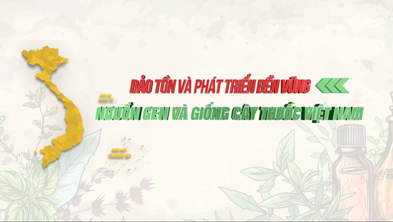 Không có ảnh