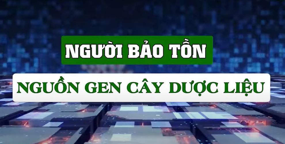 Không có ảnh